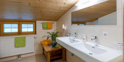 012-csm-Unbenannt-1-0Ferienwohnung-Gasteiger-Steinberg-Achenkirch-Badezimmer-285ced4e52